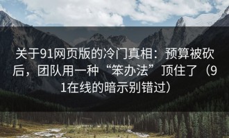 关于91网页版的冷门真相：预算被砍后，团队用一种“笨办法”顶住了（91在线的暗示别错过）