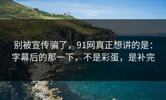 别被宣传骗了，91网真正想讲的是：字幕后的那一下，不是彩蛋，是补完
