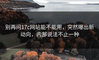 别再问17c网站能不能用，突然曝出新动向，内部说法不止一种