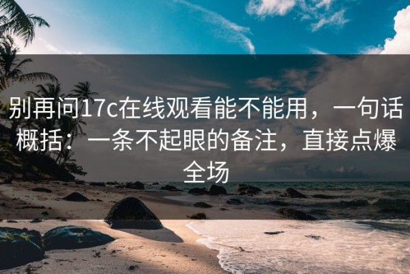 别再问17c在线观看能不能用，一句话概括：一条不起眼的备注，直接点爆全场