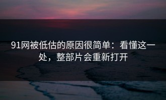 91网被低估的原因很简单：看懂这一处，整部片会重新打开