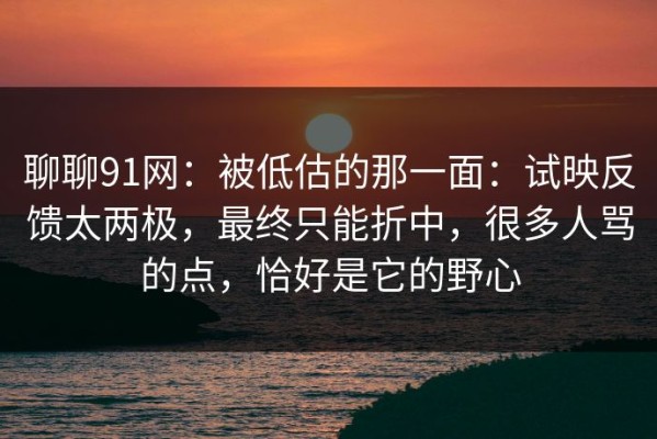 聊聊91网：被低估的那一面：试映反馈太两极，最终只能折中，很多人骂的点，恰好是它的野心