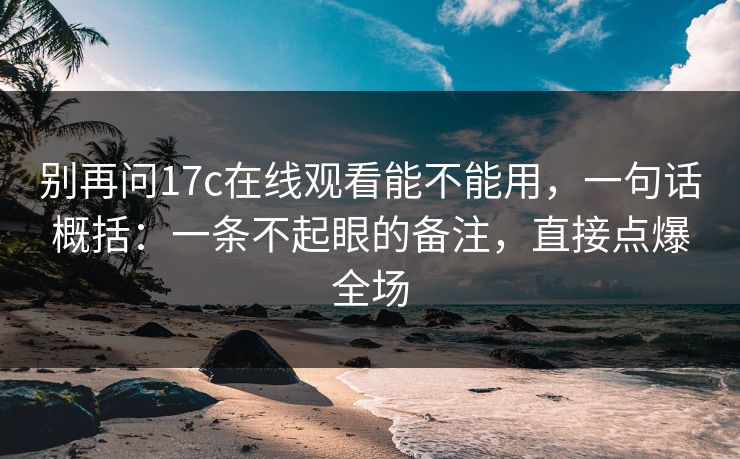 别再问17c在线观看能不能用，一句话概括：一条不起眼的备注，直接点爆全场