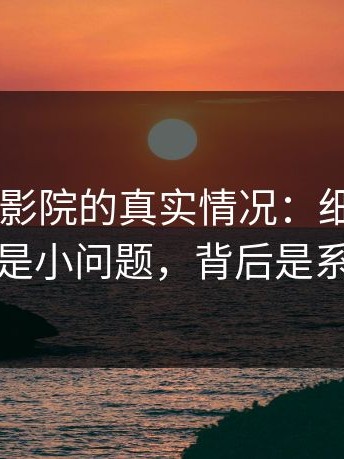 说下17c影院的真实情况：细节在这：看起来是小问题，背后是系统逻辑