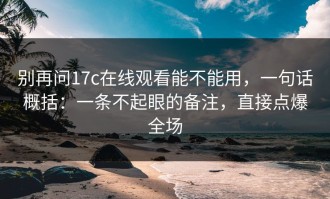 别再问17c在线观看能不能用，一句话概括：一条不起眼的备注，直接点爆全场