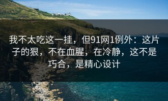 我不太吃这一挂，但91网1例外：这片子的狠，不在血腥，在冷静，这不是巧合，是精心设计