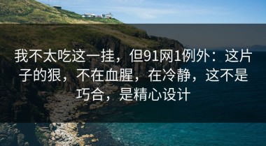 我不太吃这一挂，但91网1例外：这片子的狠，不在血腥，在冷静，这不是巧合，是精心设计