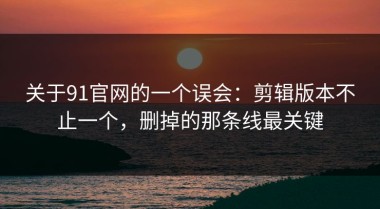 关于91官网的一个误会：剪辑版本不止一个，删掉的那条线最关键