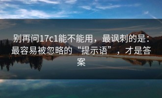 别再问17c1能不能用，最讽刺的是：最容易被忽略的“提示语”，才是答案