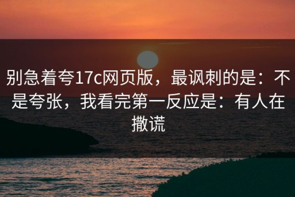 别急着夸17c网页版，最讽刺的是：不是夸张，我看完第一反应是：有人在撒谎