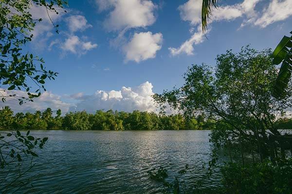 17c在线观看这次让我服气的点：反转在这里：不显眼但致命：真正影响结果的是这个环节