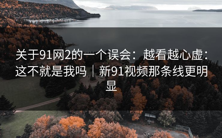 关于91网2的一个误会：越看越心虚：这不就是我吗｜新91视频那条线更明显