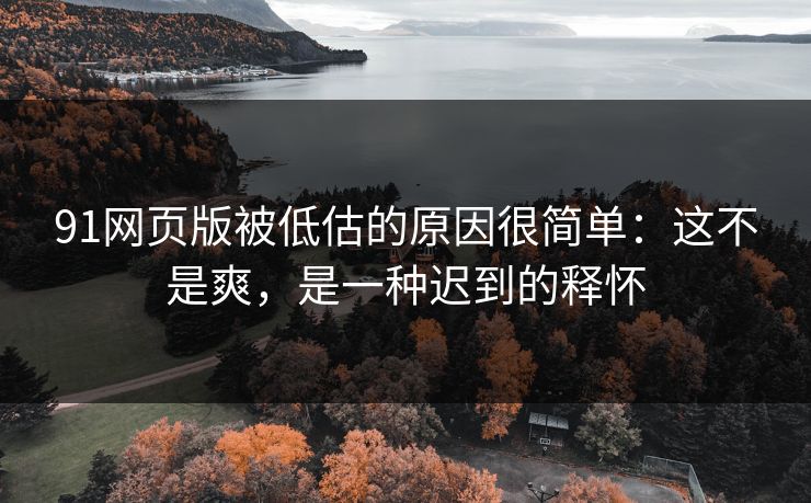 91网页版被低估的原因很简单：这不是爽，是一种迟到的释怀