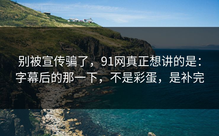 别被宣传骗了，91网真正想讲的是：字幕后的那一下，不是彩蛋，是补完