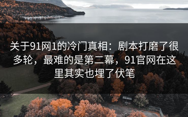 关于91网1的冷门真相：剧本打磨了很多轮，最难的是第二幕，91官网在这里其实也埋了伏笔