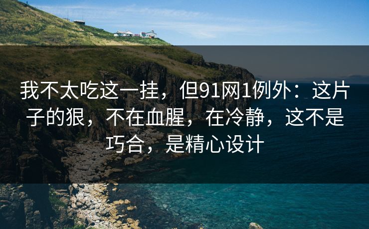 我不太吃这一挂，但91网1例外：这片子的狠，不在血腥，在冷静，这不是巧合，是精心设计